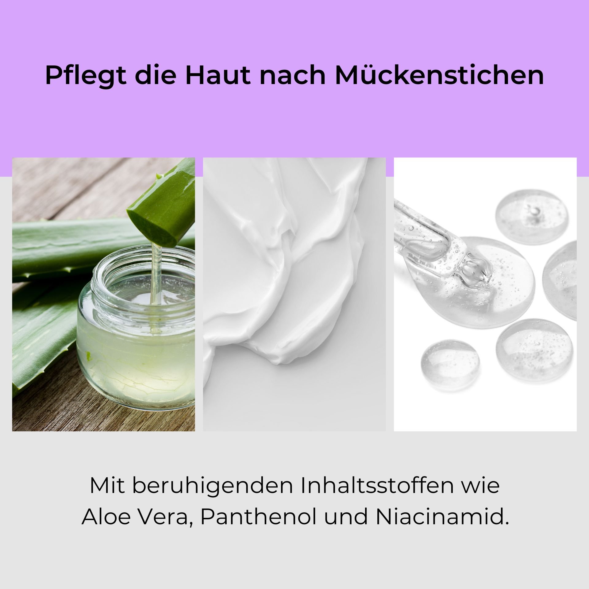 Soin de la peau après piqûres de moustiques avec aloe vera, panthénol et niacinamide, représenté par des feuilles d'aloe vera fraîches, une crème et des capsules de gel transparentes.