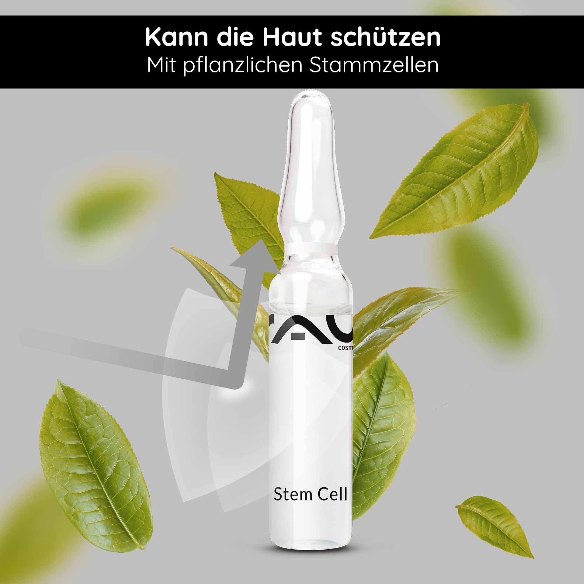 Ampulle von RAU Cosmetics mit der Aufschrift "Stem Cell", umgeben von grünen Blättern, betont die pflanzlichen Stammzellen für Hautschutz und -pflege.