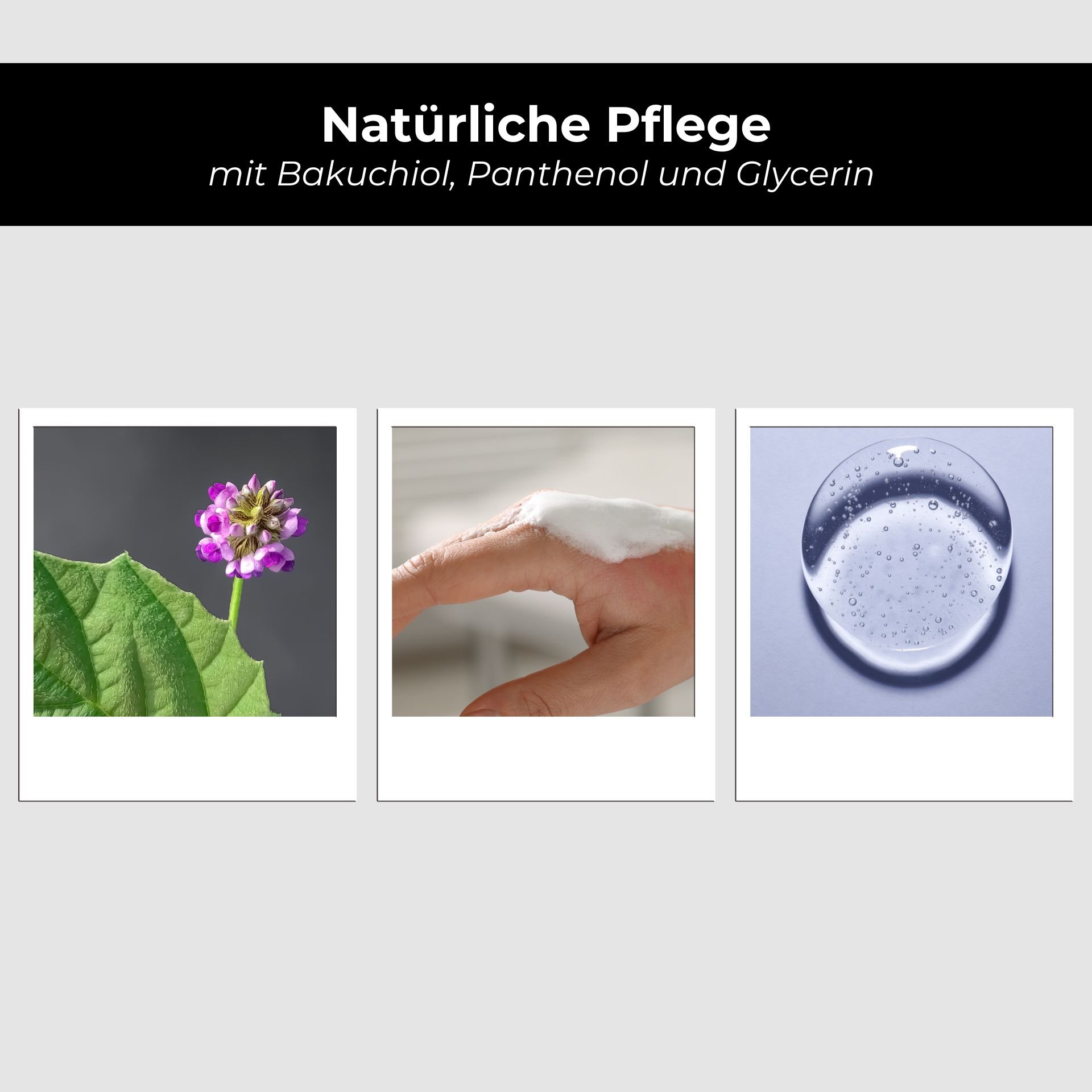 Purpur, Blume, Blütenblatt, Eis, Blatt