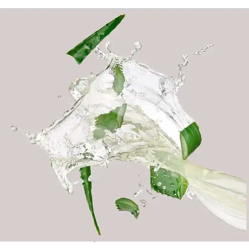 aloe-vera aloe-vera