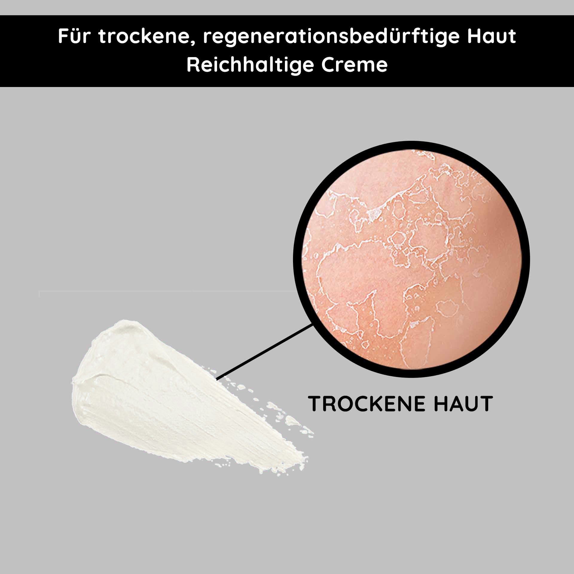 Reichhaltige Creme für trockene, regenerationsbedürftige Haut mit Ginkgo-Extrakt, zeigt Anwendung und Hautzustand.