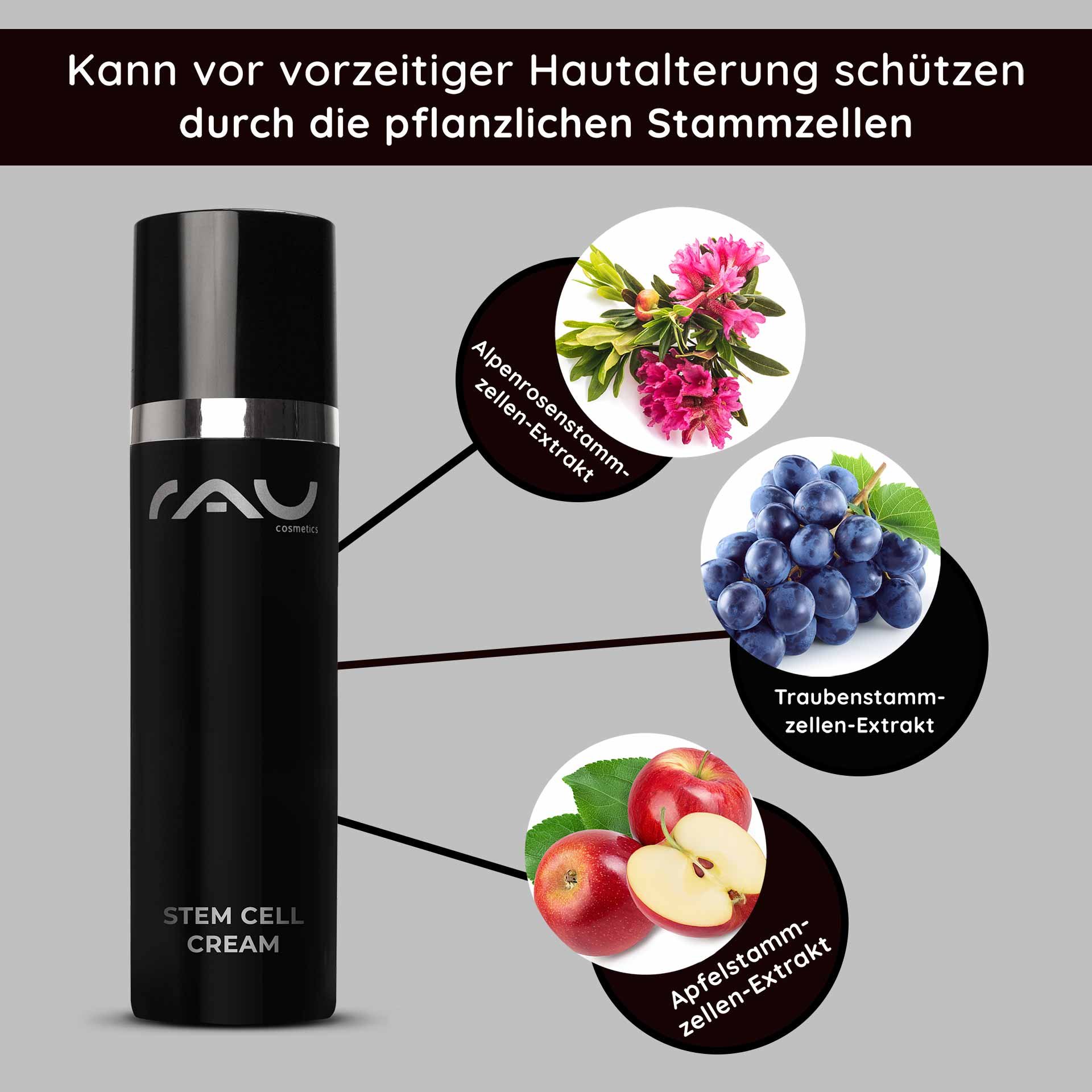Flacon de RAU Cosmetics Stem Cell Cream avec texte soulignant les bienfaits des extraits de cellules souches végétales, y compris les cellules souches de pomme, de raisin et de rose des Alpes, pour le soin anti-âge de la peau.