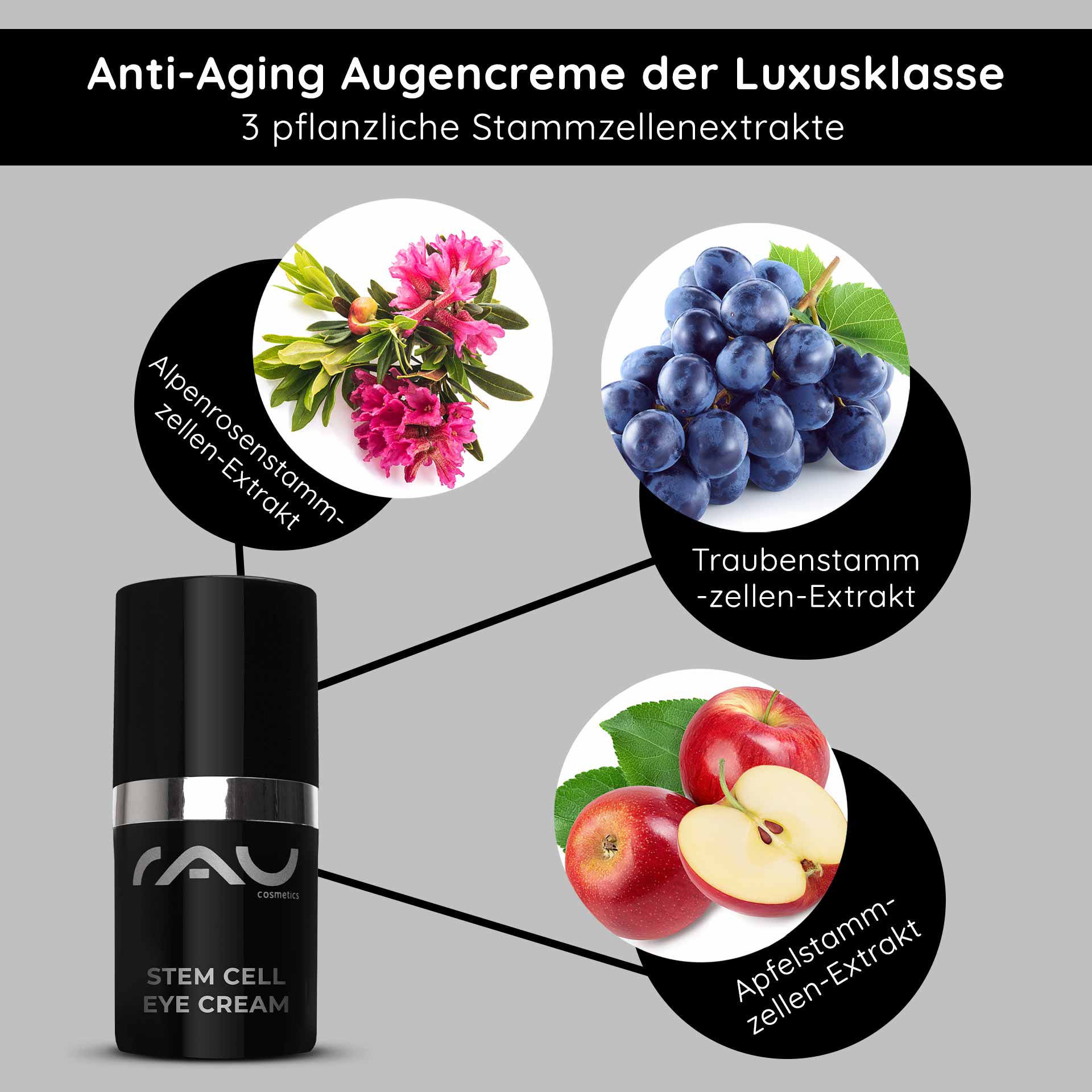 Stem Cell Eye Cream 15 ml Crème anti-âge pour les yeux Anti-Aging Augencreme von RAU Cosmetics mit pflanzlichen Stammzellenextrakten aus Alpenrose, Traube und Apfel, präsentiert in eleganter Verpackung.