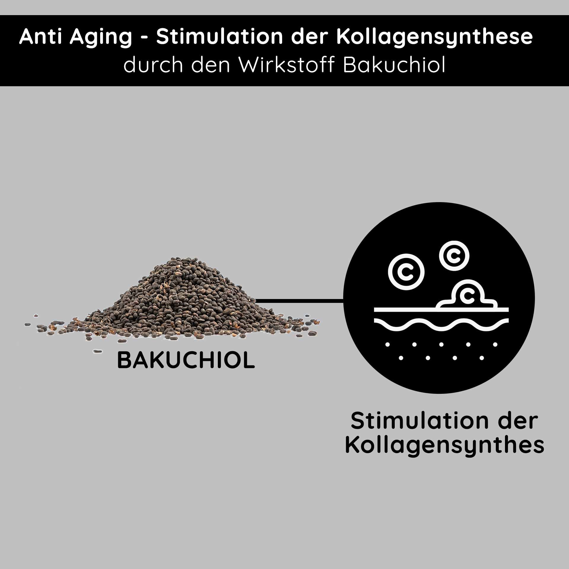 Stimulation de la synthèse du collagène : vue détaillée de la poudre de bakuchiol, synonyme de peau plus ferme et d'anti-âge.