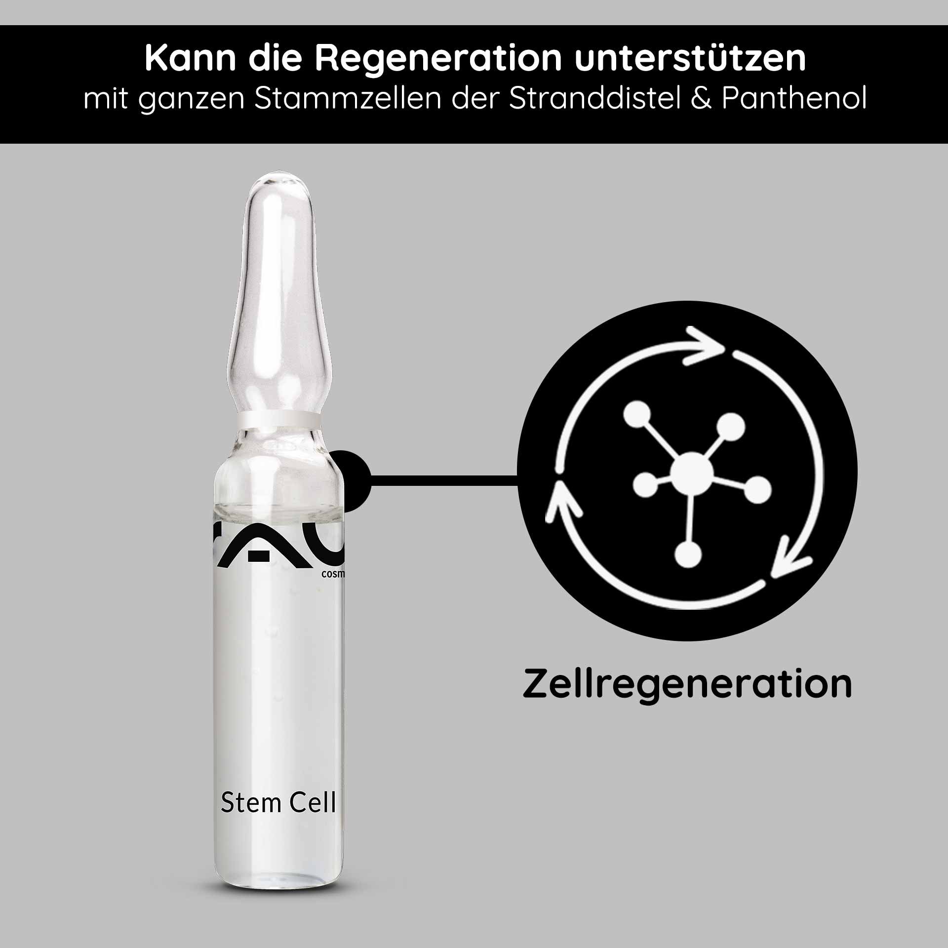 Ampoule avec le sérum RAU Stem Cell, transparente, marquée « Stem Cell », soutient la régénération cellulaire, contient des cellules souches entières de chardon bleu et du panthénol, sur fond gris.